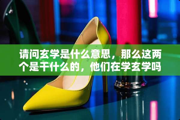 请问玄学是什么意思，那么这两个是干什么的，他们在学玄学吗？