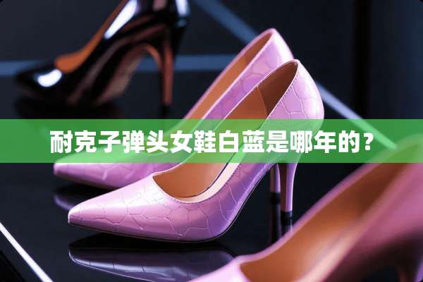 耐克**头女鞋白蓝是哪年的？