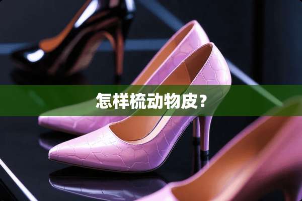 怎样梳动物皮？