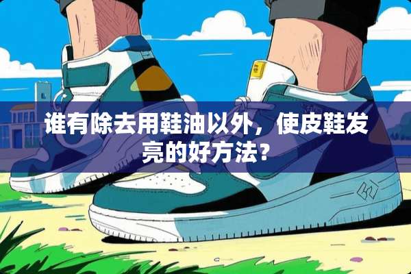 谁有除去用鞋油以外，使皮鞋发亮的好方法？