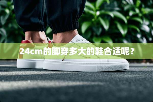 24cm的脚穿多大的鞋合适呢？