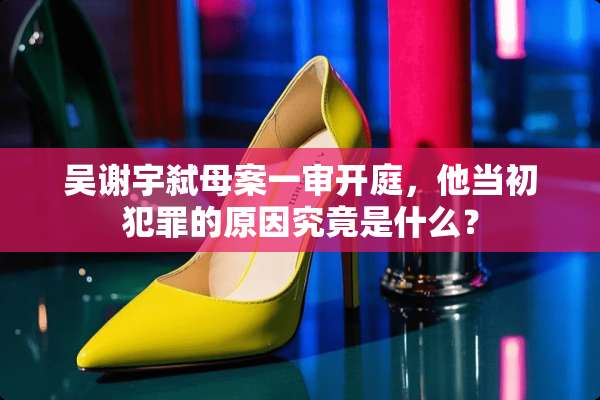 吴谢宇弑母案一审开庭，他当初犯罪的原因究竟是什么？