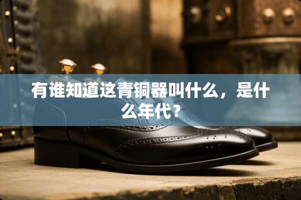 有谁知道这青铜器叫什么，是什么年代？
