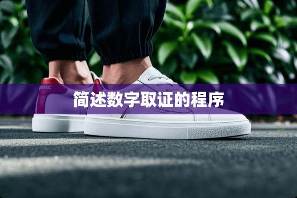 简述数字取证的程序