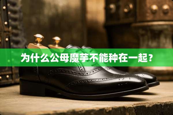 为什么公母魔芋不能种在一起？