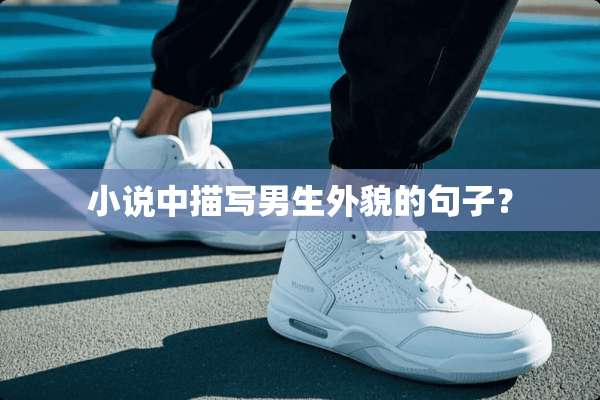 小说中描写男生外貌的句子？