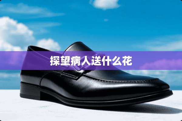 探望病人送什么花