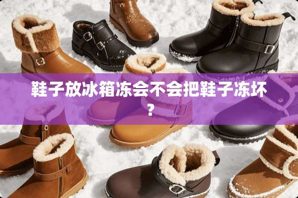 鞋子放冰箱冻会不会把鞋子冻坏？