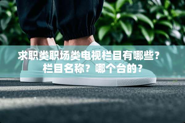 求职类职场类电视栏目有哪些？ 栏目名称？哪个台的？