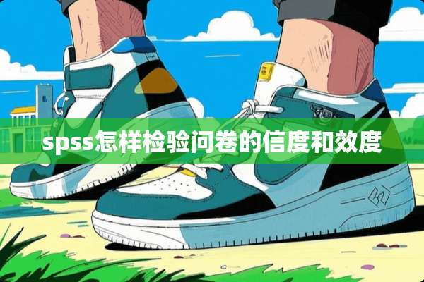 spss怎样检验问卷的信度和效度