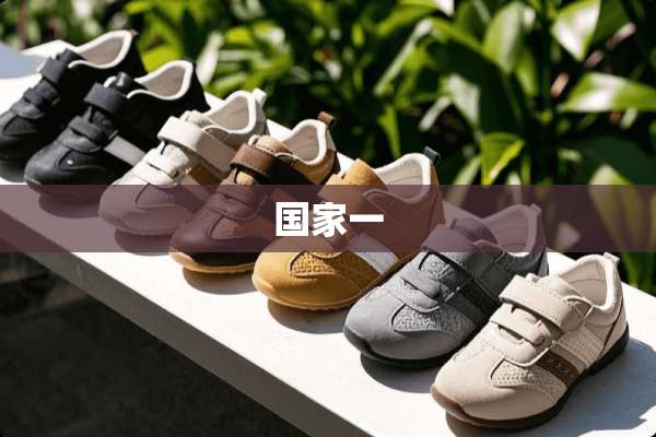国家一