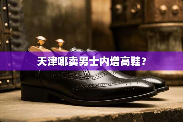 天津哪卖男士内增高鞋？