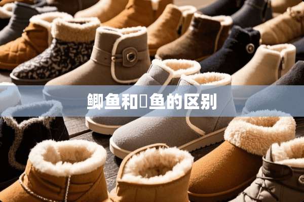 鲫鱼和鲗鱼的区别