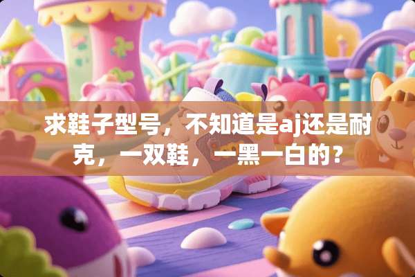 求鞋子型号，不知道是aj还是耐克，一双鞋，一黑一白的？