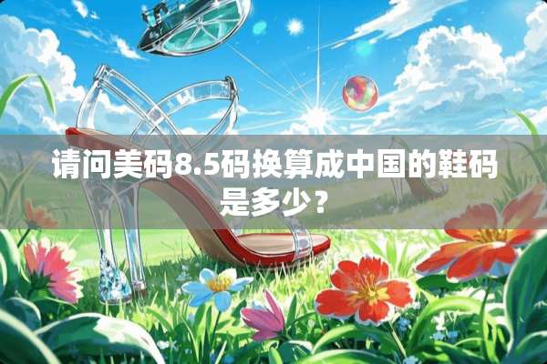 请问美码8.5码换算成中国的鞋码是多少？