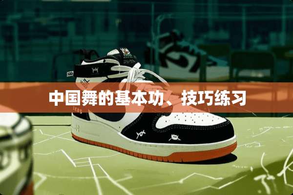 中国舞的基本功、技巧练习