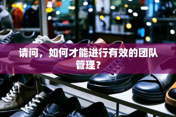 请问，如何才能进行有效的团队管理？
