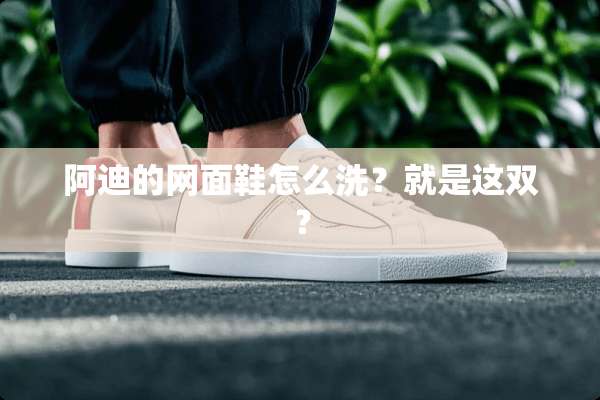阿迪的网面鞋怎么洗？就是这双？