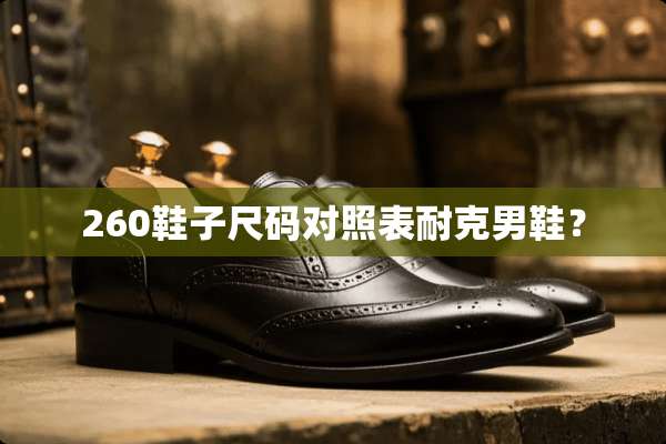260鞋子尺码对照表耐克男鞋？