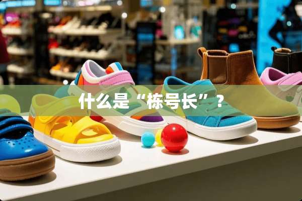 什么是“栋号长”？