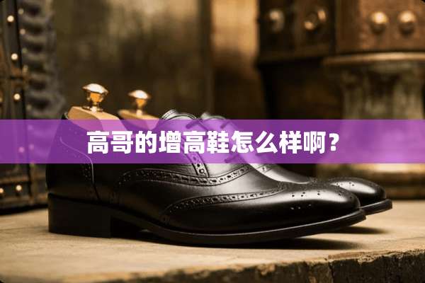 高哥的增高鞋怎么样啊？