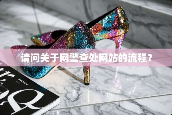 请问关于网警查处网站的流程？