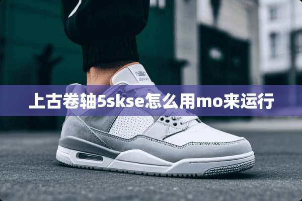 上古卷轴5skse怎么用mo来运行