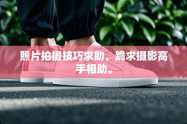 照片拍摄技巧求助，跪求摄影高手相助。