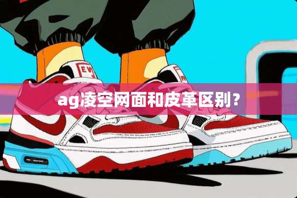 ag凌空网面和皮革区别？