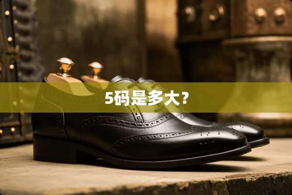 5码是多大？