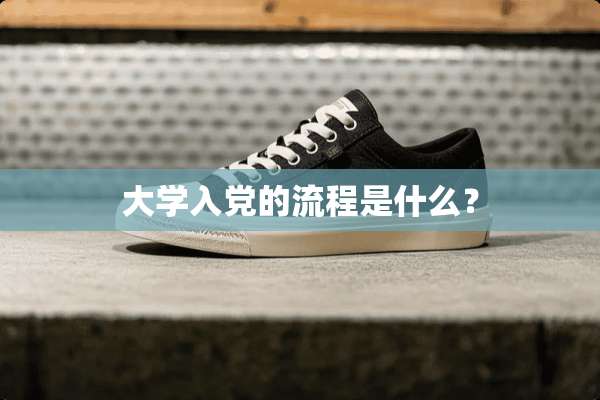 大学入*的流程是什么？