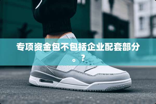 专项资金包不包括企业配套部分。？