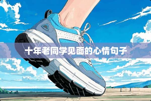 十年老同学见面的心情句子