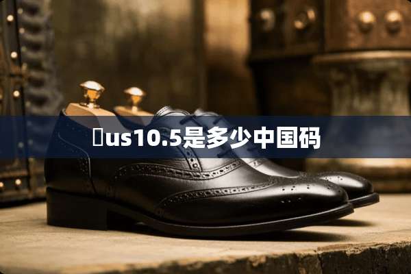 ​us10.5是多少中国码