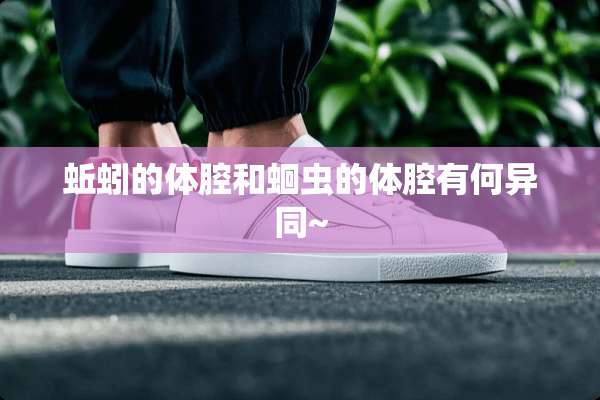 蚯蚓的体腔和蛔虫的体腔有何异同~