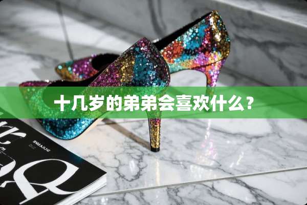 十几岁的弟弟会喜欢什么？