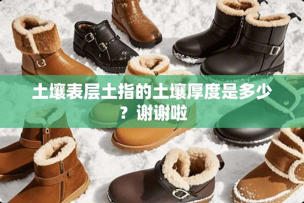 土壤表层土指的土壤厚度是多少？谢谢啦