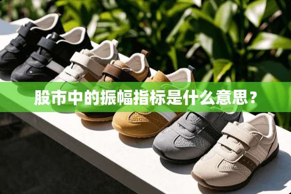 股市中的振幅指标是什么意思？