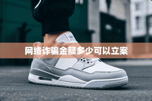 网络**金额多少可以立案