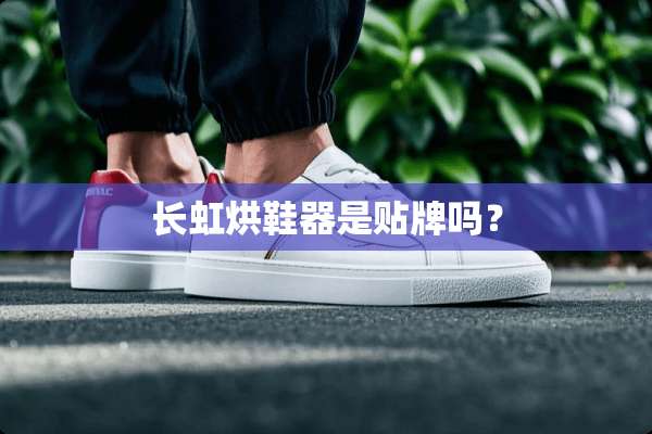 长虹烘鞋器是贴牌吗？
