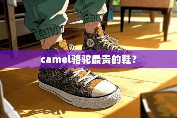 camel骆驼最贵的鞋？