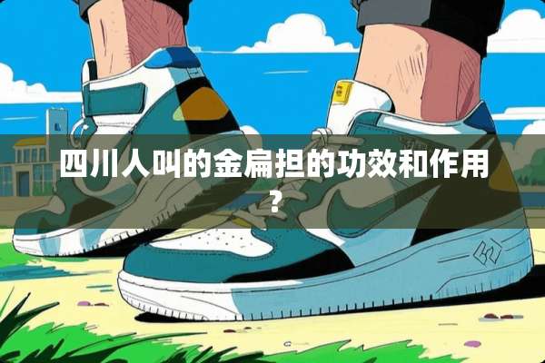 四川人叫的金扁担的功效和作用？