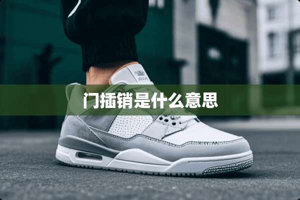 门插销是什么意思
