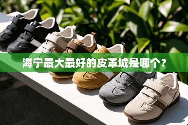 海宁最大最好的皮革城是哪个？