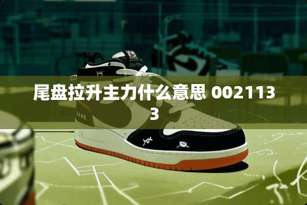 尾盘拉升主力什么意思 0021133