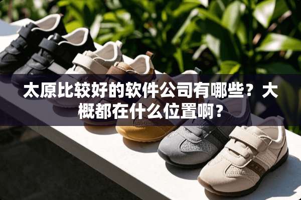 太原比较好的软件公司有哪些？大概都在什么位置啊？