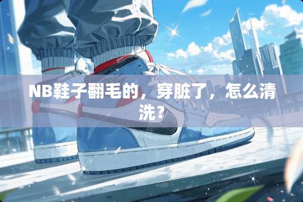 NB鞋子翻毛的，穿脏了，怎么清洗？