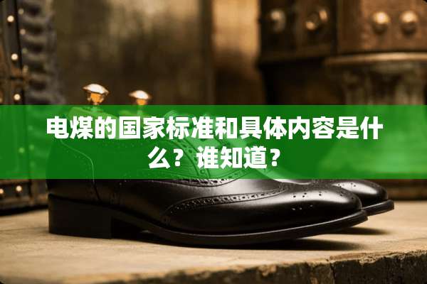 电煤的国家标准和具体内容是什么？谁知道？