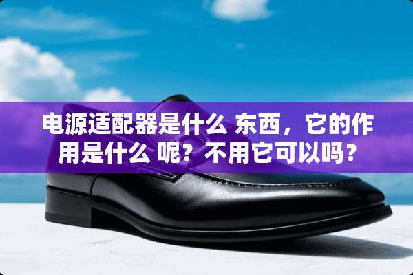 电源适配器是什么 东西，它的作用是什么 呢？不用它可以吗？