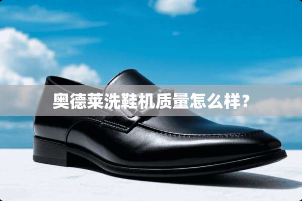 奥德莱洗鞋机质量怎么样？